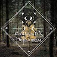 Cailleach H. Cailleach H.